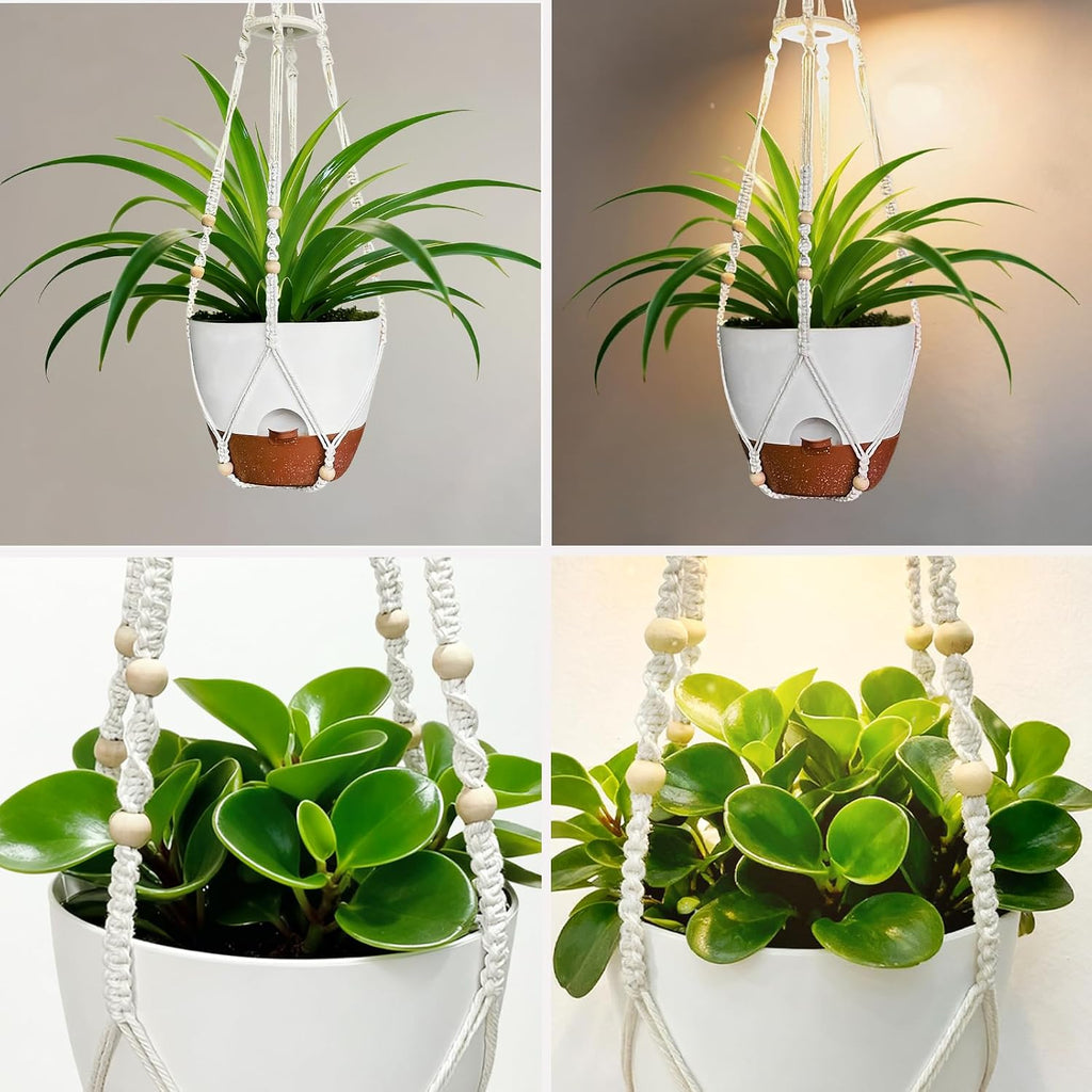 2 Pack Self Watering Hanging Planters with Grow Light for Indoor Plants | 10 Brightness, 3 Light Modes, 3/9/12H Timer