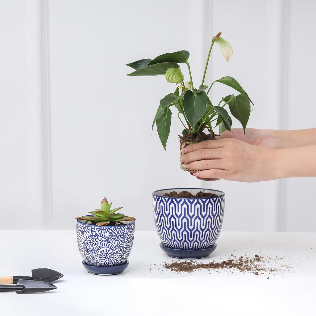 Selamica Ceramic Succulent Pots, 3.5 Inch Small Plant Pots for Indoor Plants Cactus Herbs, Succulent Planters with