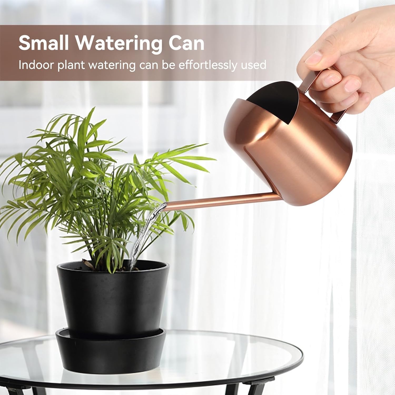 10oz/300ml Watering Can Indoor Plants, Long Spout Small Watering Sprinkling Pot Mini Stainless Steel Water Can Garden