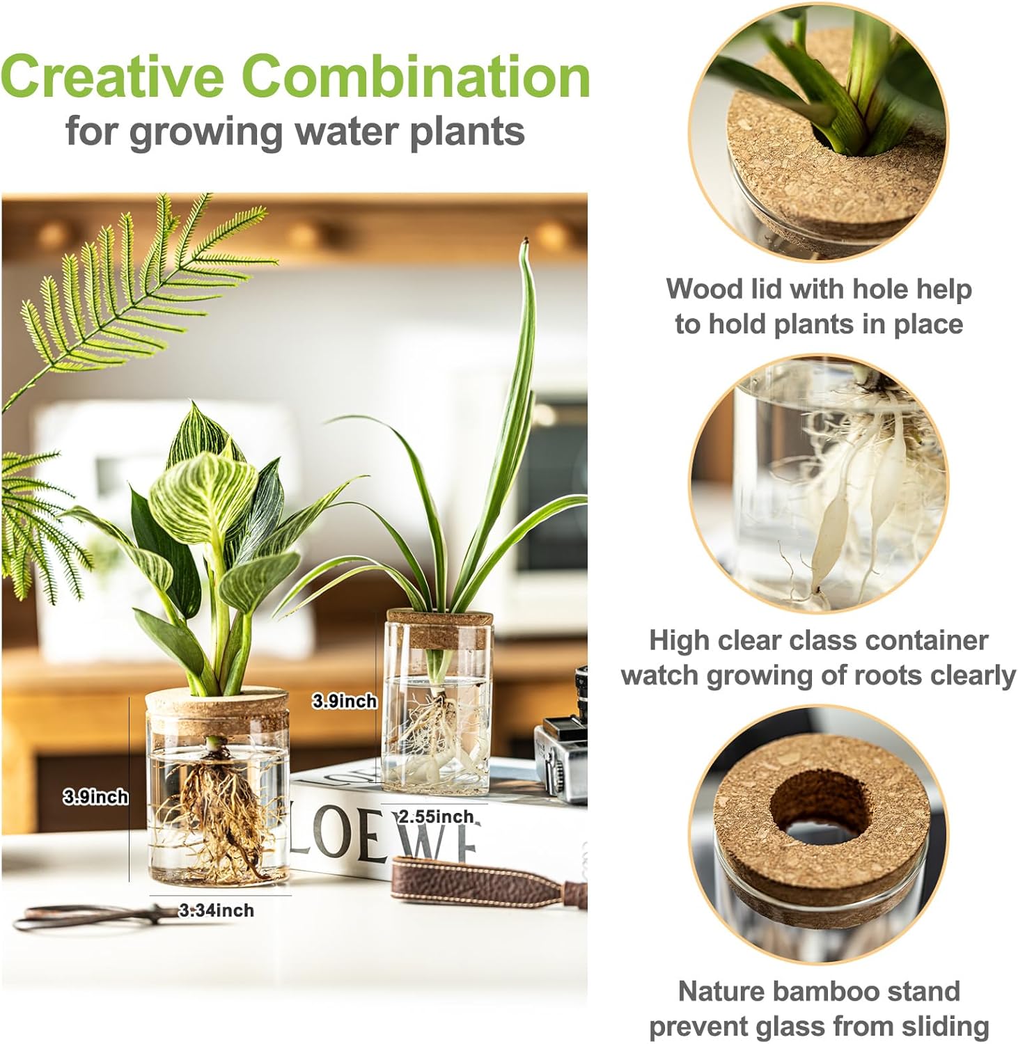 Glass Plant Propagation Stations for Plants – Set of 12(6 Large & 6 Small) Hydroponic Vases for Plant Cuttings,Flower