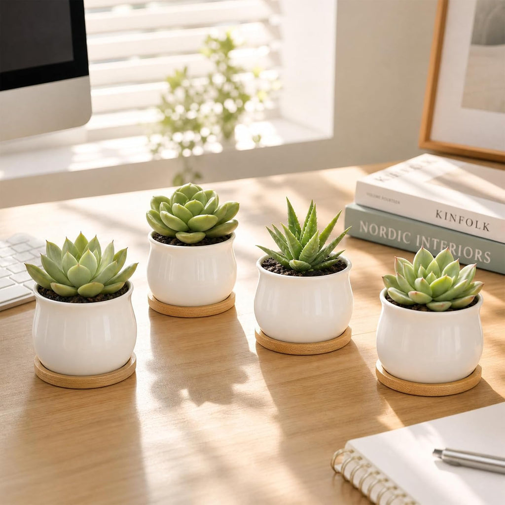 ZOUTOG 12 Pack Succulent Pots, 2.6 Inch Mini Ceramic Pots for Flower or Cactus Plants with Drainage Hole,Plants Not