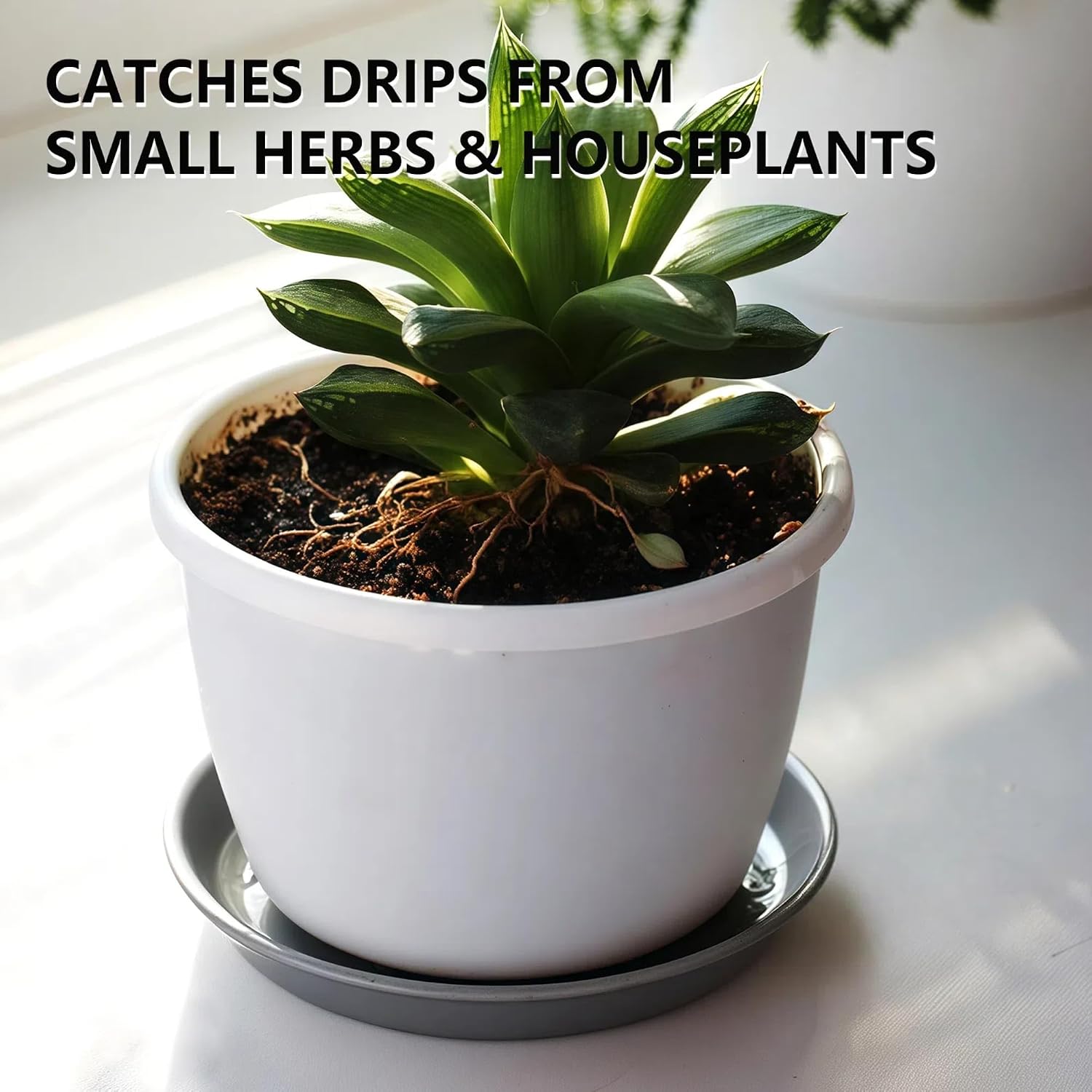 9 Pack Gray Plant Saucer Set, 8 10 12 Inch Heavy Duty PP Plant Saucers | Multi Size Plant Saucers for Small, Medium &