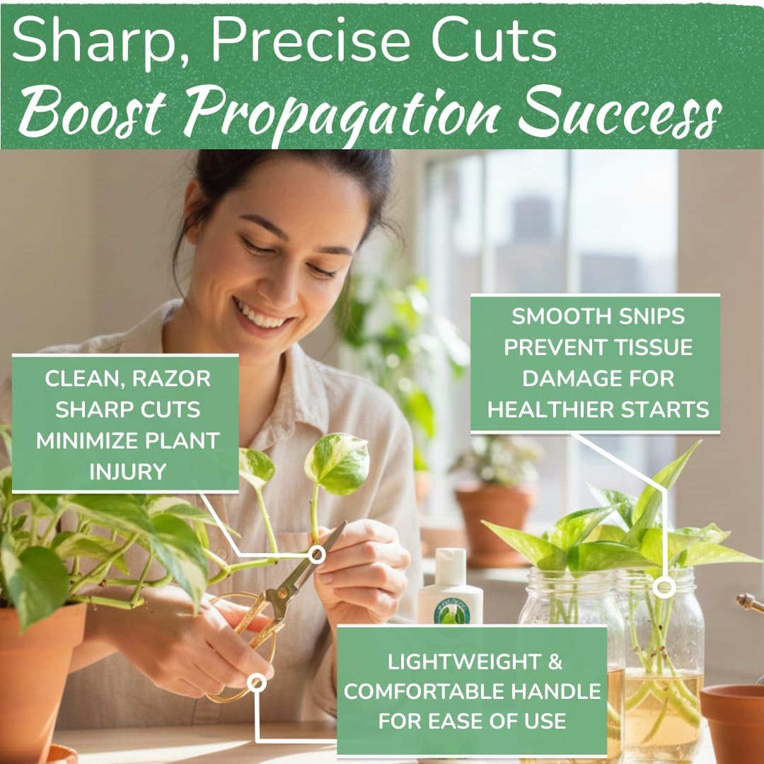 Houseplant Pruning Shears, Stainless Steel Scissors for Trimming & Notching