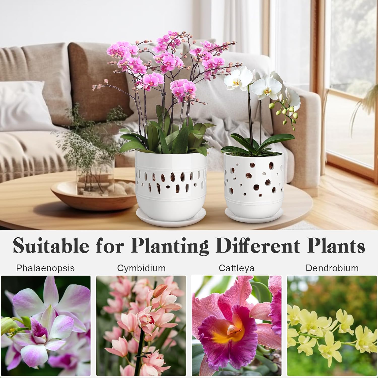 Orchid Pot with Holes, 5+6 Inch Ceramic Orchid Pots, Flower Pots with Drainage and Saucer, Promoting Air Circulation