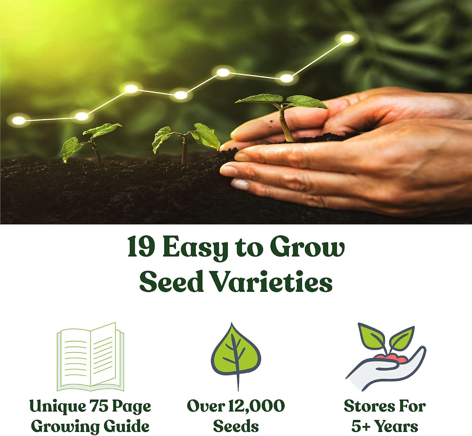 Sustainable Seed Co Bug Out Bag Survival Garden Vegetable & Herb Seeds | ~12,000 Seeds - Collection of 19 Heirloom Seed