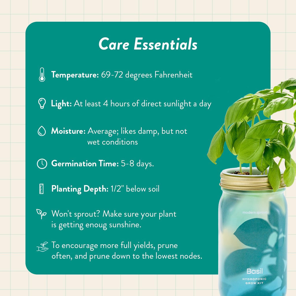 Modern Sprout Mason Jar+Replant Kit- Self-Watering Hydroponics System-Basil | Growing System Kit w/Organic Herb Seeds