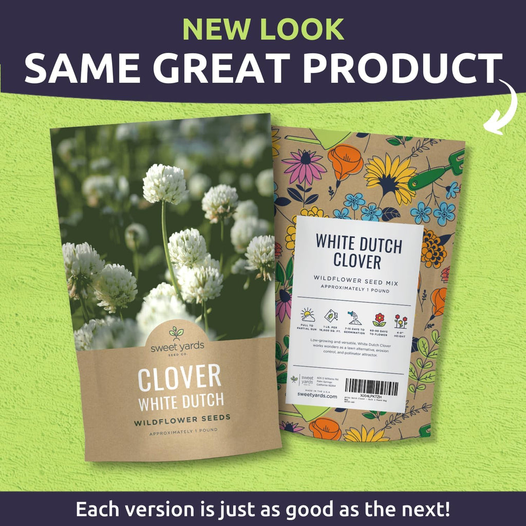 White Dutch Clover - Bulk 1 Pound Pouch - 600,000 Flower Seeds for Planting - Trifolium repens