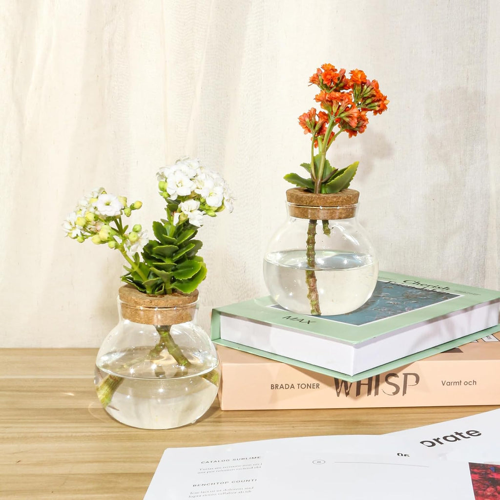 Plant Propagation Station,Hydroponic Terrarium Vase,Desktop Glass Planter Station,for Houses,Garden