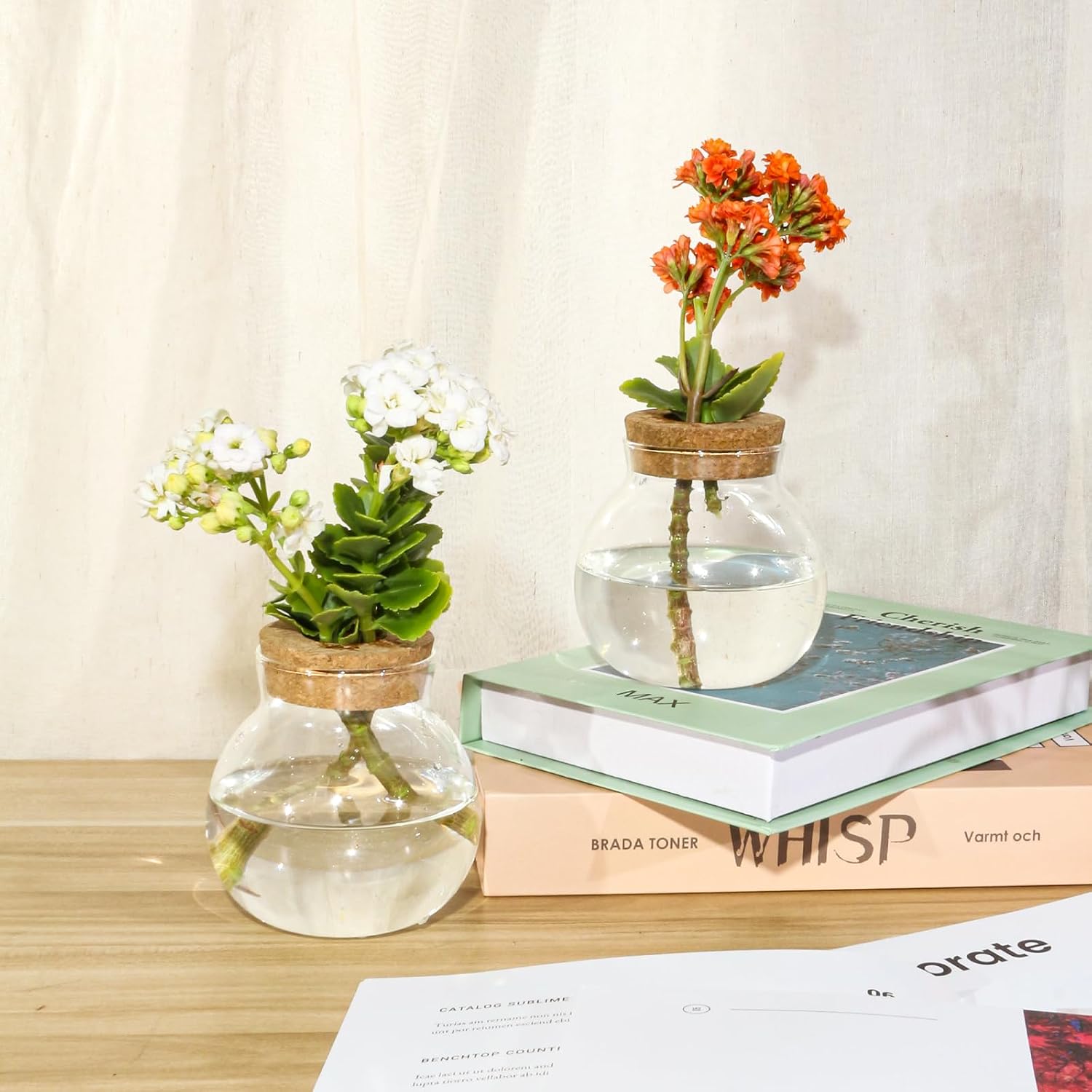 Plant Propagation Station,Hydroponic Terrarium Vase,Desktop Glass Planter Station,for Houses,Garden