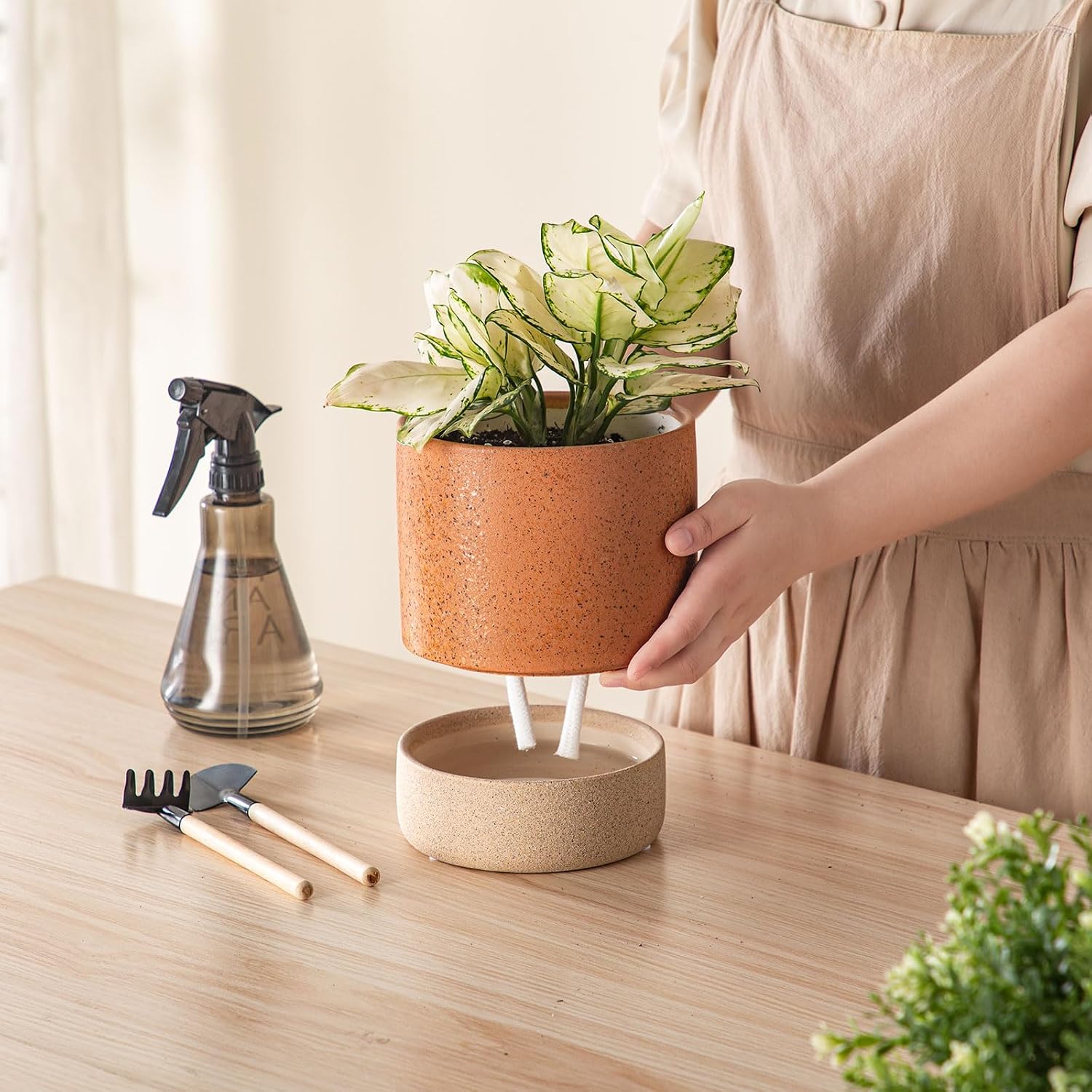 6 Inch Ceramic Self Watering Planter with Drainage Hole Terracotta | Indoor Plant Pot with Water Storage Plus - for