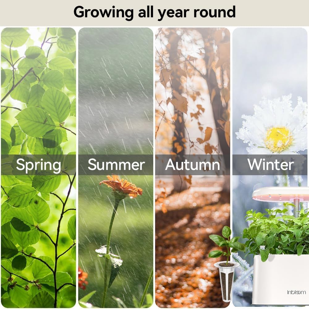 inbloom Fragrant Bouquet Seed Pod Kit for AeroGarden, iDoo, Ahopegarden, GARDENCUBE, 12 Pods (350+ Flower Seeds with