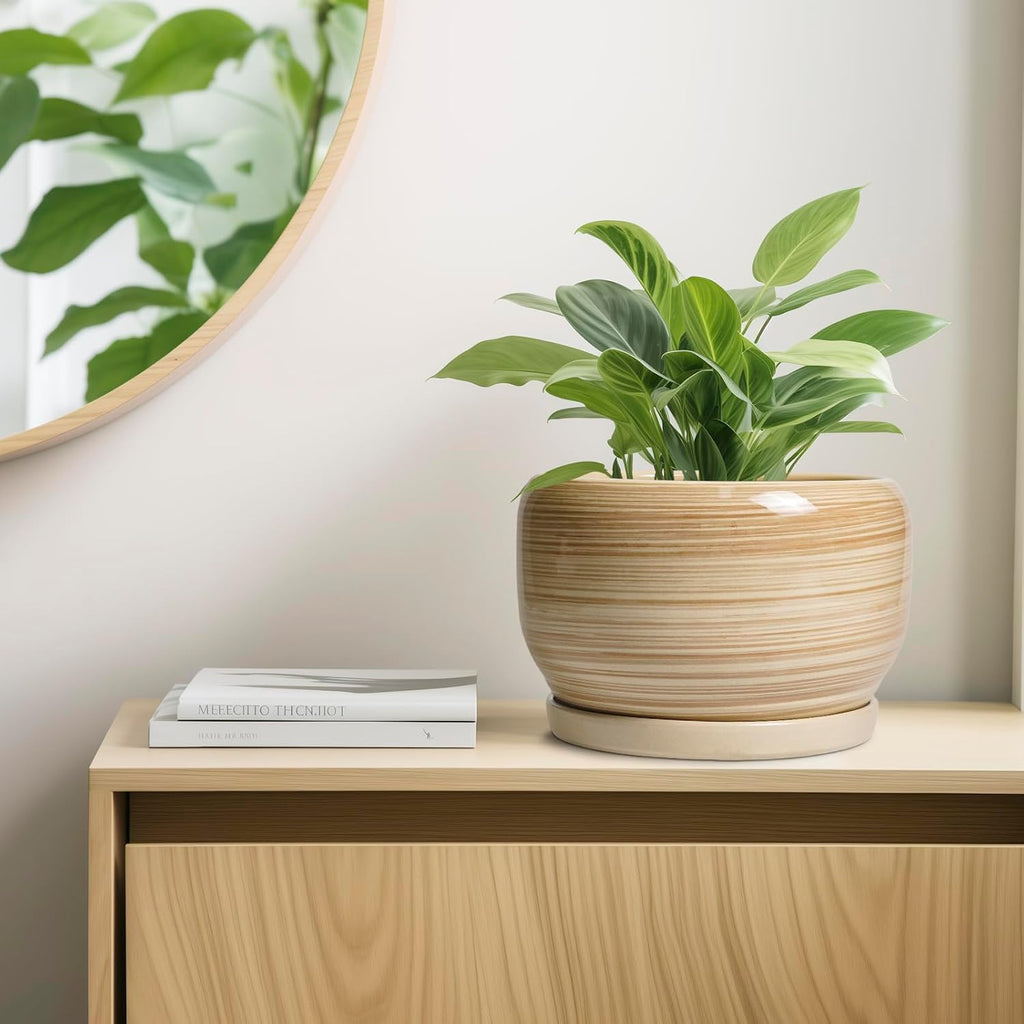SQOWL Ceramic Plant Pot - 10 Inch Large Planter with Drainage Hole and Saucer, Round Modern Planter for Indoor Plant