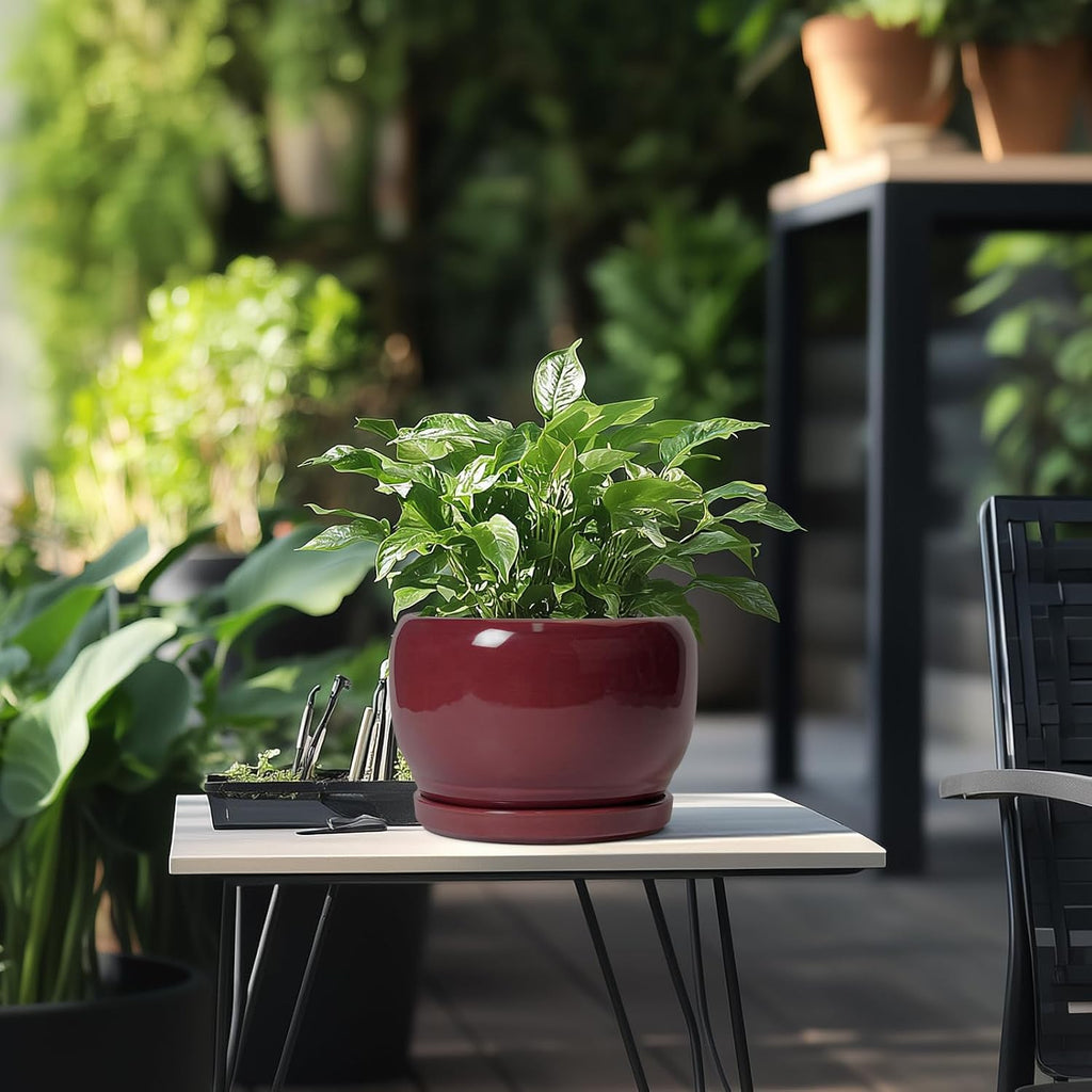 SQOWL Ceramic Planter - 8 Inch Plant Pot with Drainage Hole and Saucer, Round Planter for Indoor Outdoor Plants, Modern