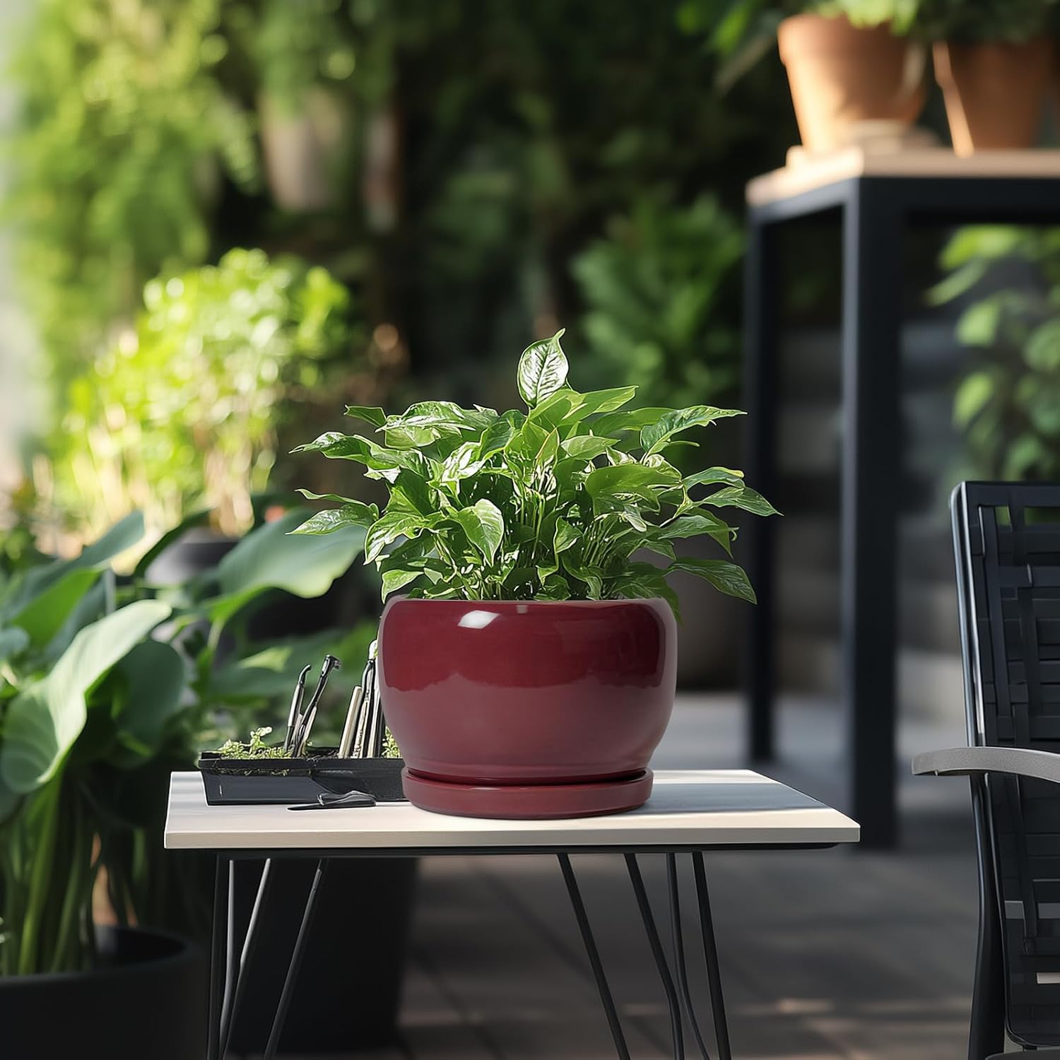 SQOWL Ceramic Planter - 8 Inch Plant Pot with Drainage Hole and Saucer, Round Planter for Indoor Outdoor Plants, Modern