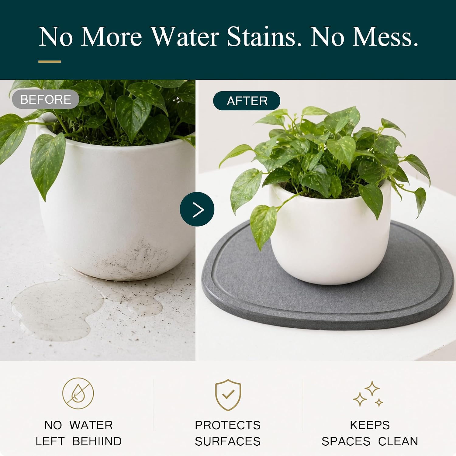 8 Inch 6 Pack Diatomite Plant Trays to Catch Water, Plant Pot Saucers | XRzitky Quick Absorbent and Dry Water Catcher