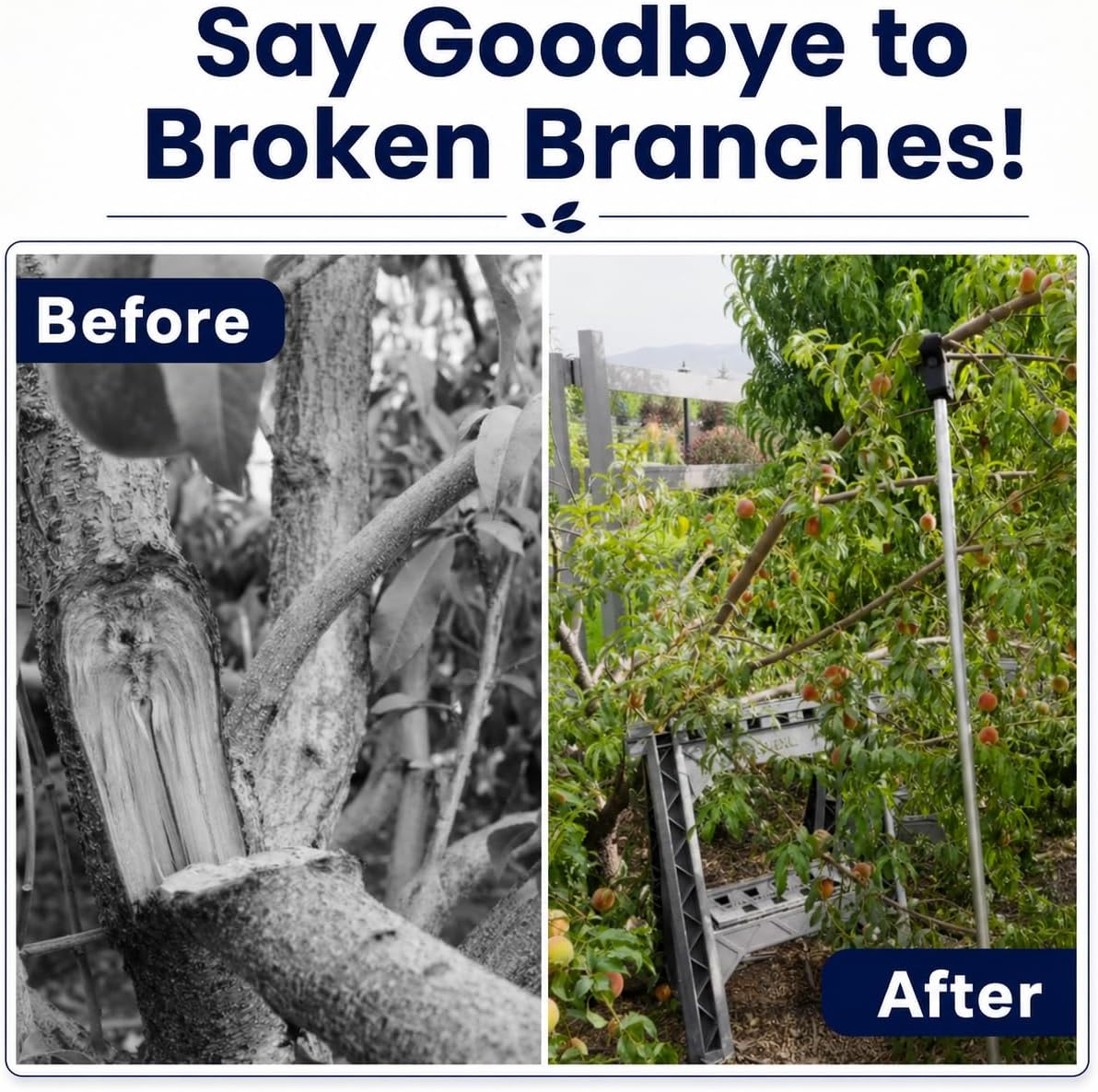 Tree Branch Support Pole & Crutch – Protect Limbs from Breaking (1-Pack) | Holds Up To 100 Lbs & Adjusts 16"–74"