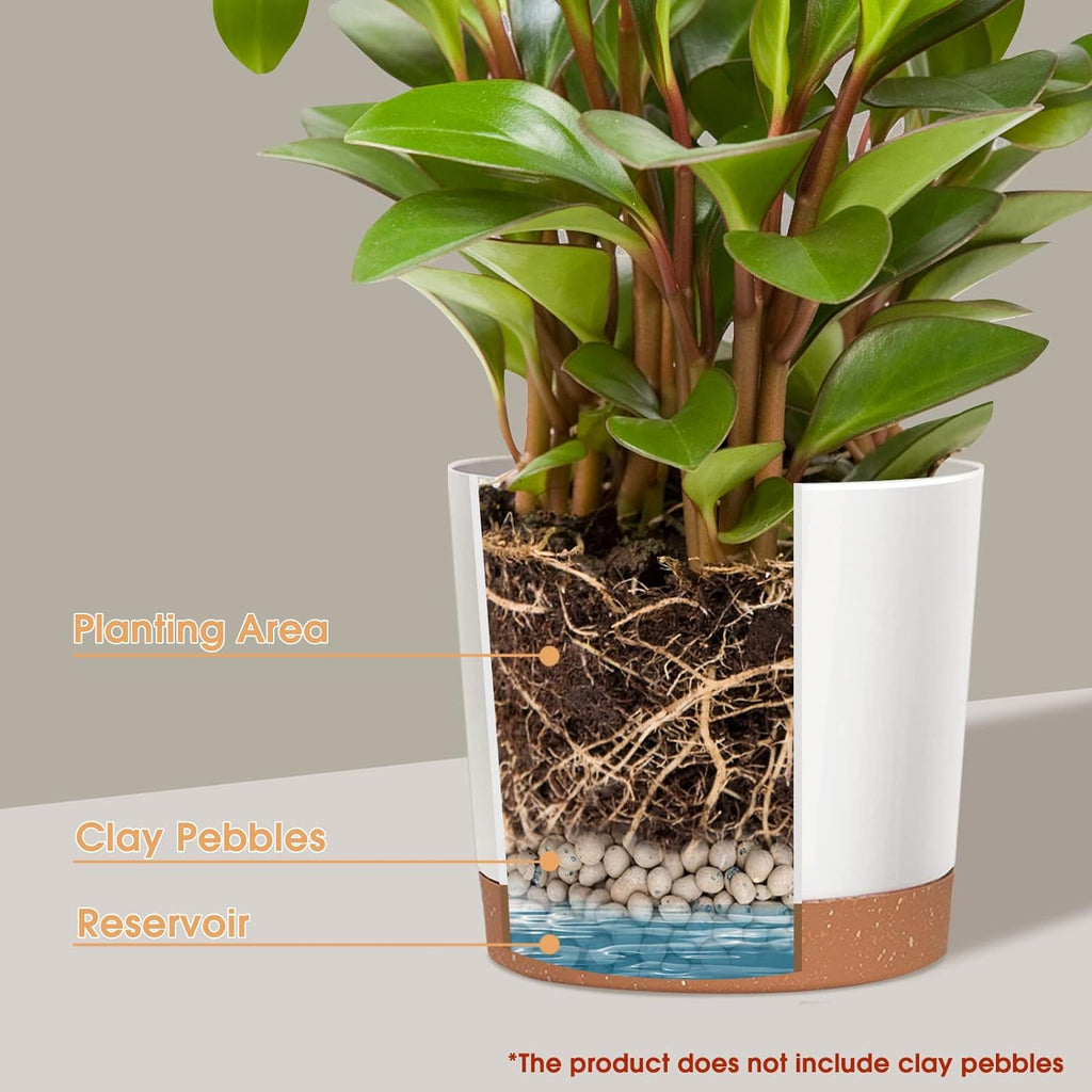 kubvici Plant Pots for Indoor Plants, 2 Pack 10 Inch Plant Pot Plastic Flower Pots Planters with Drainage Saucer for
