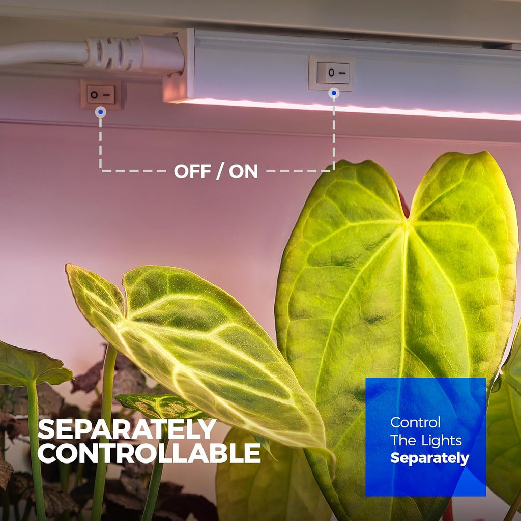Barrina Grow Lights for Indoor Plants, 2ft 40W (4 x 10W), Linkable, 4 Packs | T5 Grow Lights Full Spectrum, Pinkish