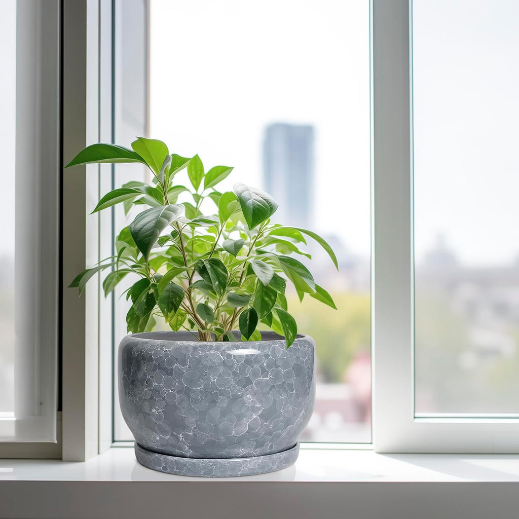 SQOWL Ceramic Pot for Plants - 10 Inch Plant Pot Indoor with Drainage Hole and Saucer, Round Ceramic Planter