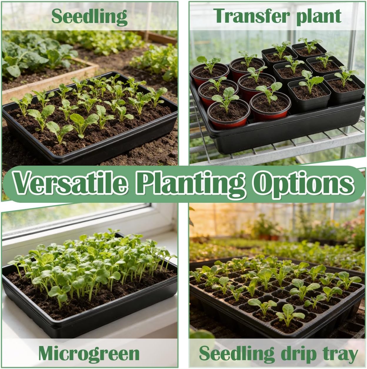 RooTrimmer 10 Pack Seed Starter Trays - Heavy Duty Plastic Flats, Fits 54 Cell Plug Tray, Seedling Tray for Carrying