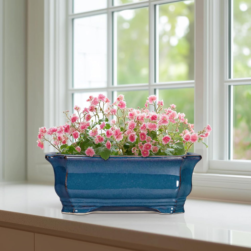 Bonsai Pots 11.6 Inch - Ceramic Succulent Pots with Drainage Hole, Rectangular Planter for Indoor Outdoor, Decorative