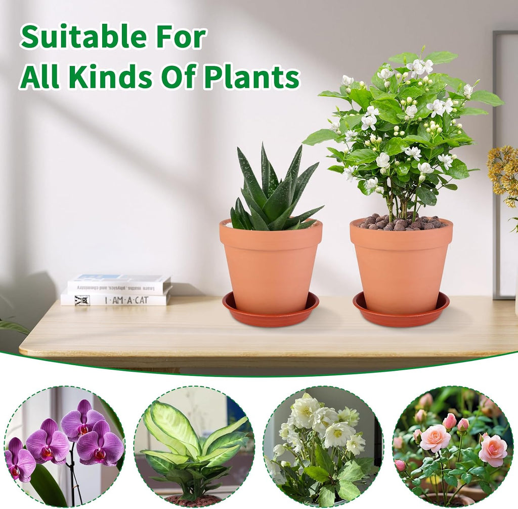 6 Pack 6 Inch Terracotta & Clay Pots with Saucer for Plants, Large Terra Cotta Plant Pot with Drainage Hole, Flowerpot