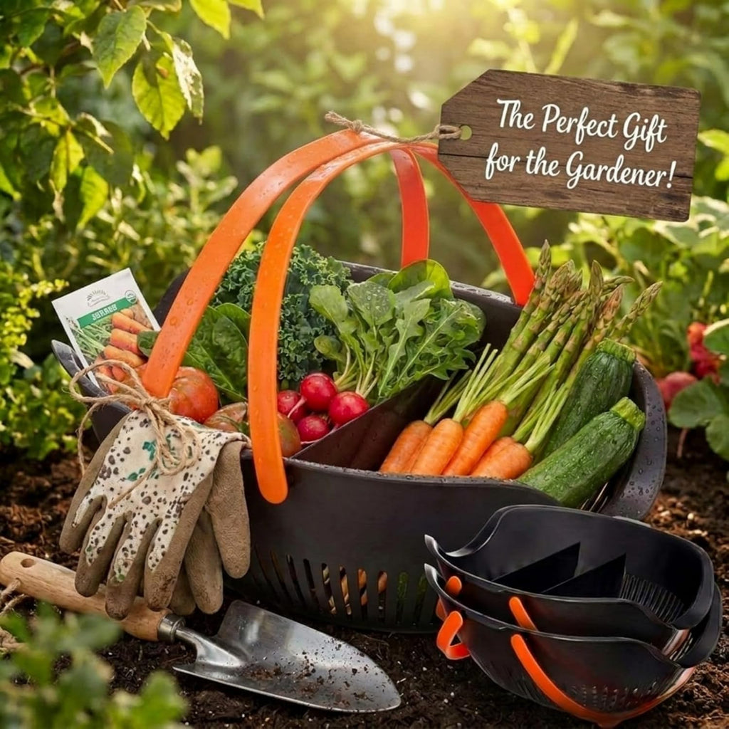 Nuogo 3 Pcs Garden Harvest Basket with Dividers Tool Caddy,Black | Removable Partitions, Doubles Colander for Veggies