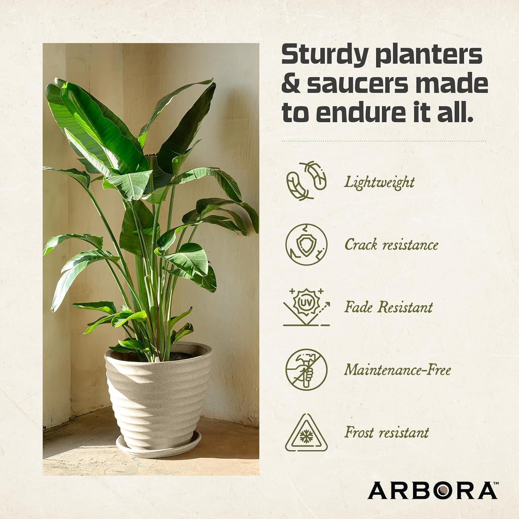 ARBORA 11" Plant Saucer for Planters with 8 Inch Base or Less | Durable, Heavy Duty Plant Saucer with Stone-Like
