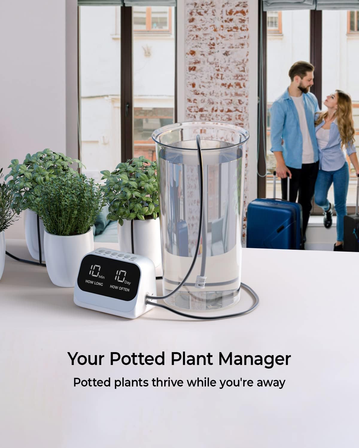 Automatic Watering System for Potted Plants, Plant Waterer, DIY Drip Irrigation Kit with Smart Timer, Waterproof LED