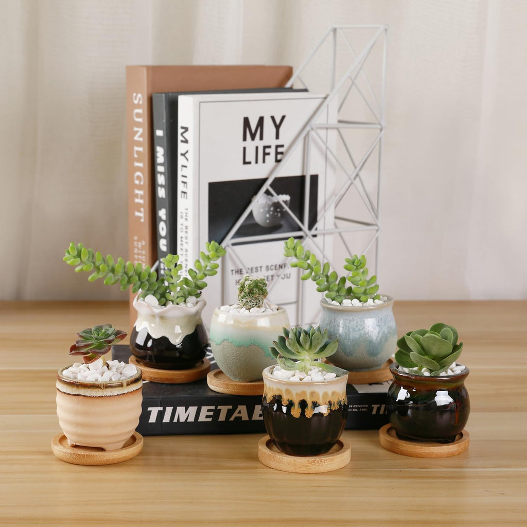T4U Small Ceramic Succulent Pots with Drainage - Set of 12, Mini Pots for Plants, Home and Office Decor, Plant Lover