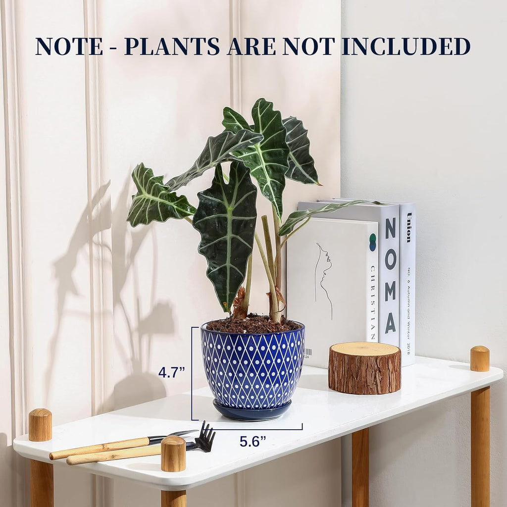 Selamica Ceramic Plant Pots, 5.6 Inch Flower Pots for Indoor Plants with Drainage Hole and Saucer,Home Decor, Set of 4
