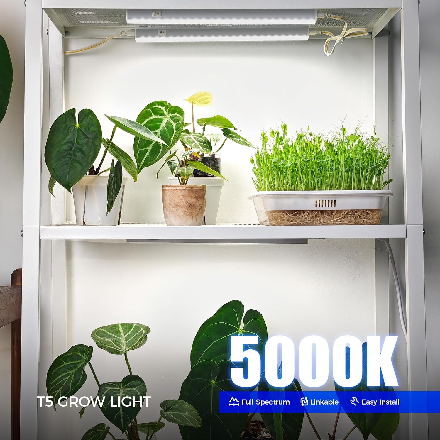 Barrina T5 Grow Lights for Indoor Plants, 5000K Full Spectrum, 1FT, 4 Packs | 1FT LED Growing Lamp, Plant Light Strip