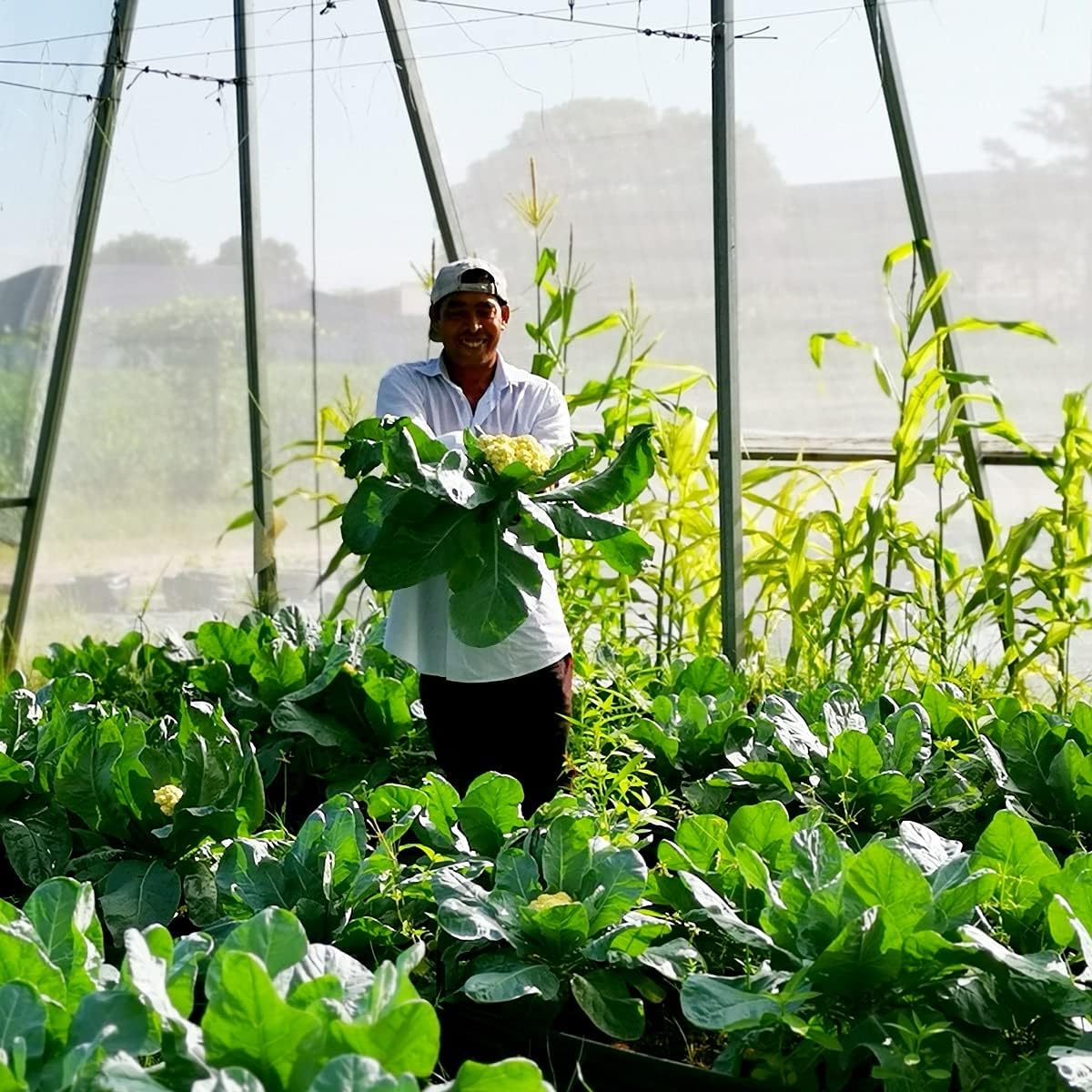 Garden Netting Pest Barrier: Ultra Fine 15'x30' Bug Netting | for Protection Row Cover Raised Bed Screen Mesh