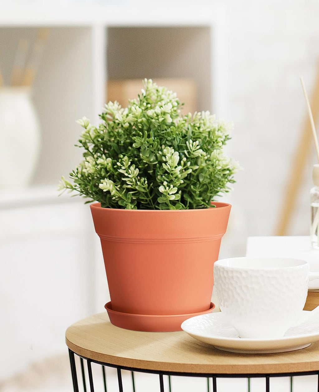 6 Inch Plastic Flower Pots with Drainage Holes and Trays (15 Pcs) | Matte terracotta finish suits orchids, snake