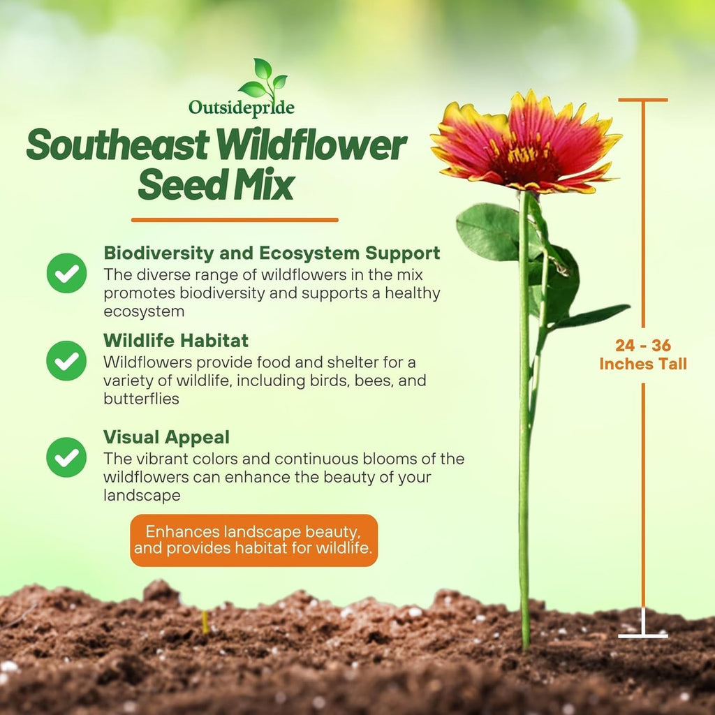 Outsidepride Southeast Wildflower Seed Mix - 1 lb Highly Adaptable, Easy to Grow, Low-Maintenance Mix of Annual &