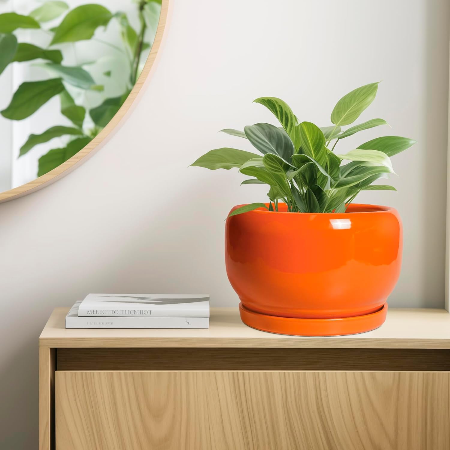 SQOWL Ceramic Planter - 10 Inch Plant Pot with Drainage Hole and Saucer, Round Modern Planter for Indoor Outdoor