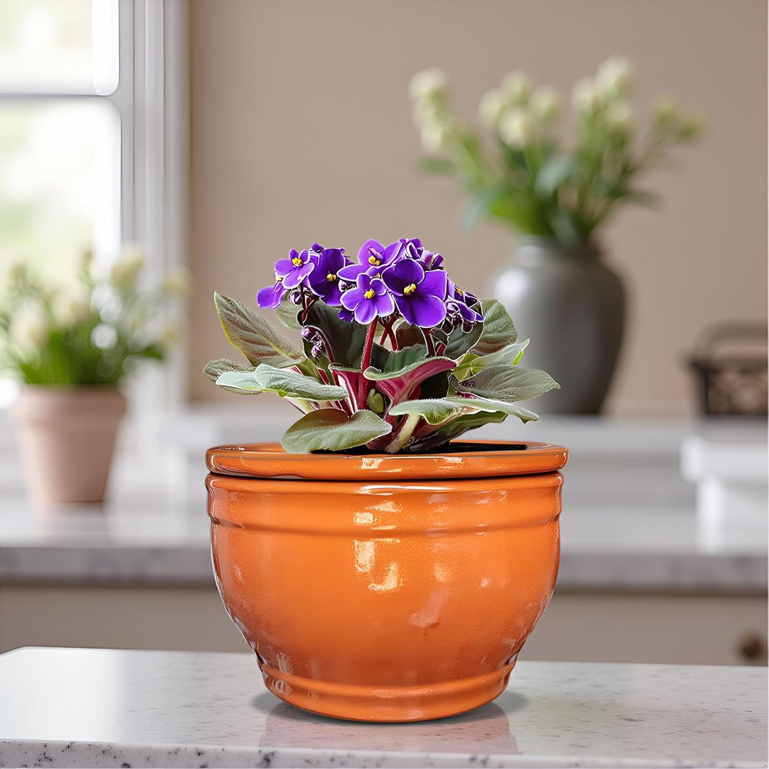 African Violet Pots Self Watering Round Ceramic Violet Pot (Orange, 6 inch)