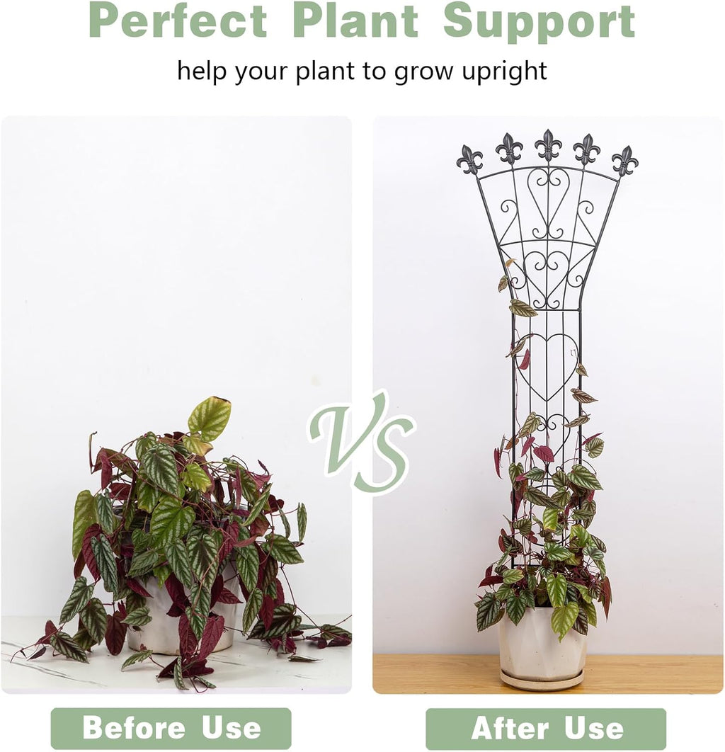 46in Heavy Duty Indoor Climbing Plant Trellis for Monstera, Pothos | Indoor Plant Trellis for Potted Plants - Garden