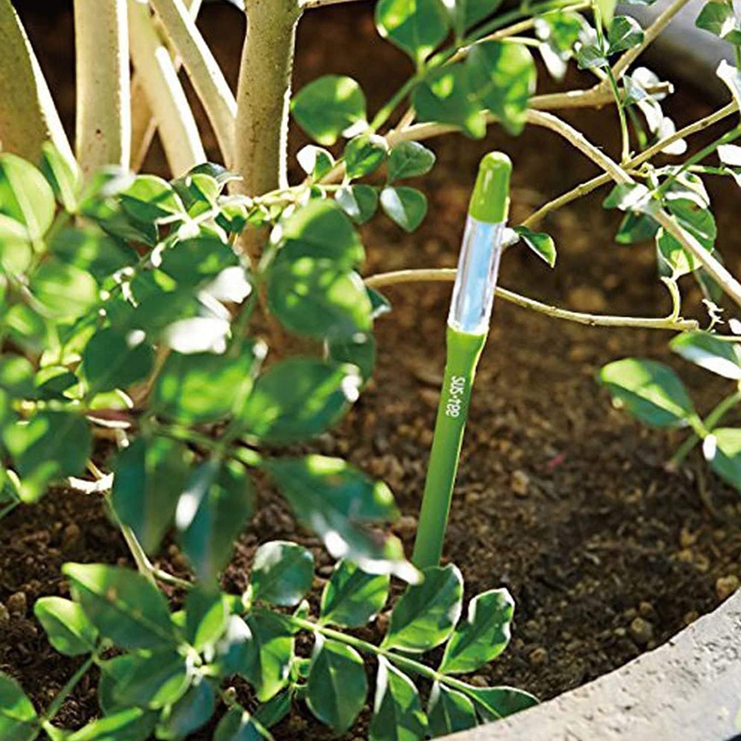 IPPINKA Sustee Aquameter - Bundle of 24 - House Plant Soil Moisture Meter - Best for Indoor Potted Plants - Medium