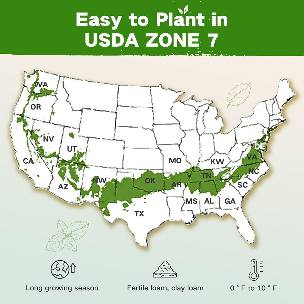 Year-Round Zone 7 Seed Bank, Gift for Mom Dad, 32 Varieties Heirloom Seeds | 30,000+ Non-GMO Vegetable Herb Flower