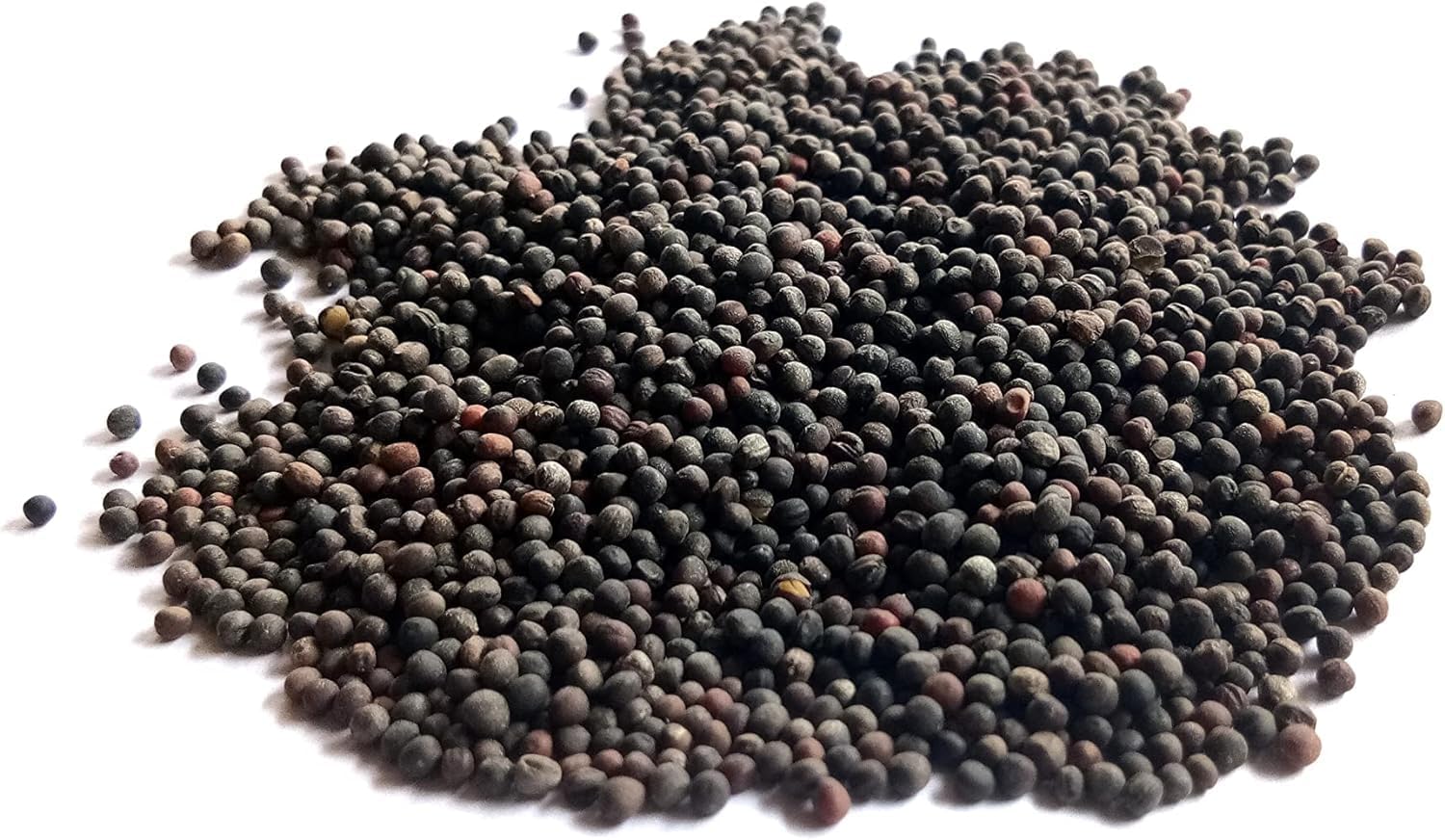 Di Cicco Organic Broccoli Seeds for Growing Microgreens – Heirloom, Non GMO Seeds to Plant & Grow Organic Broccoli in