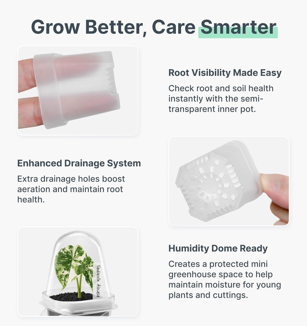 12 Pack 2" Small Clear Self Watering Pots with Humidity Dome for Indoor Plants, Seed Starter Cups, Tissue Culture