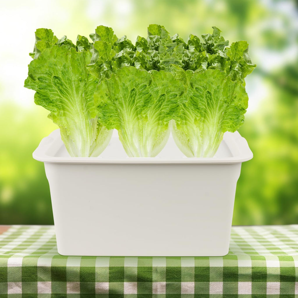 Hydroponics Grower Kit DIY Self Watering Indoor Hydroponics Tools Hydroponic System Planting Container Include Aquarium