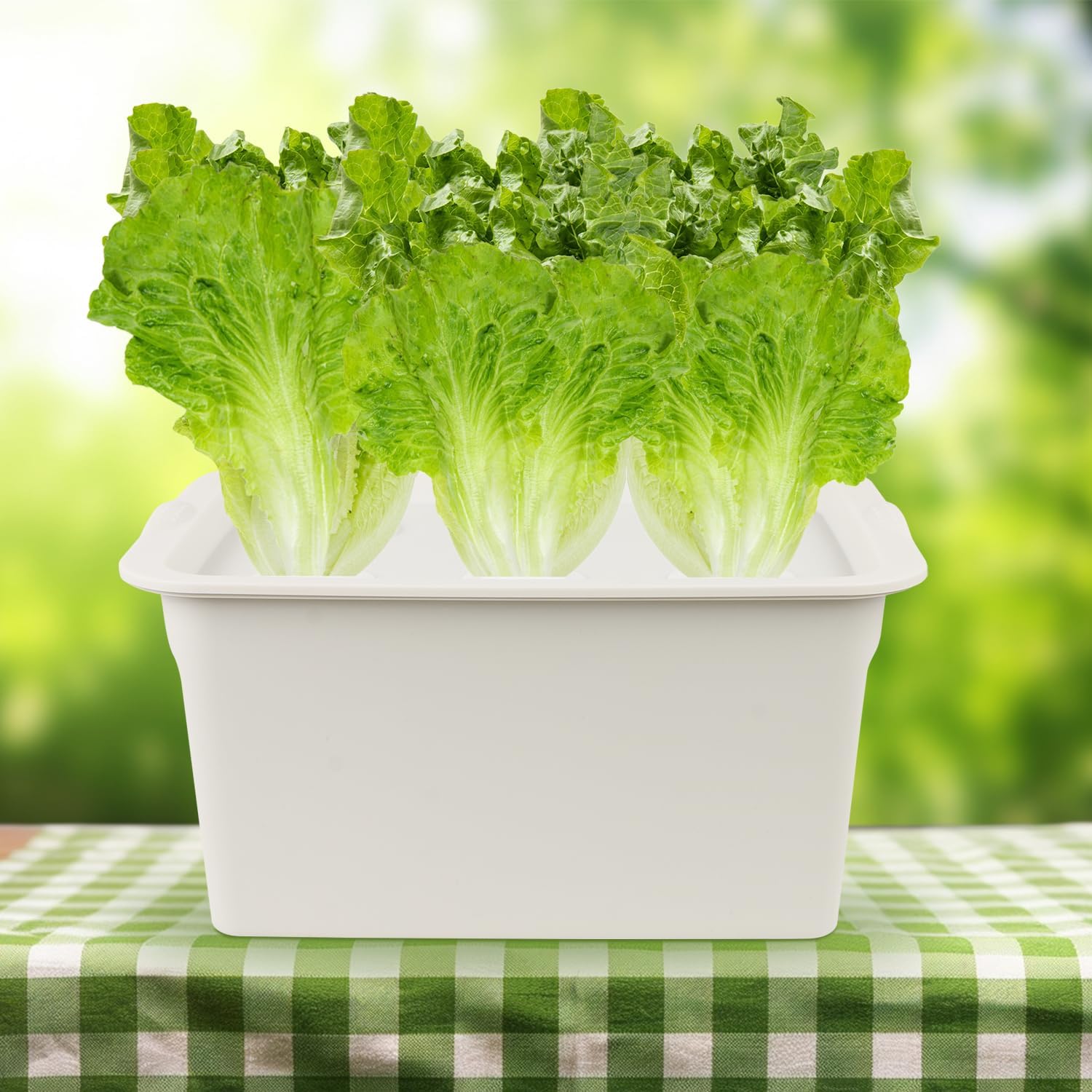 Hydroponics Grower Kit DIY Self Watering Indoor Hydroponics Tools Hydroponic System Planting Container Include Aquarium