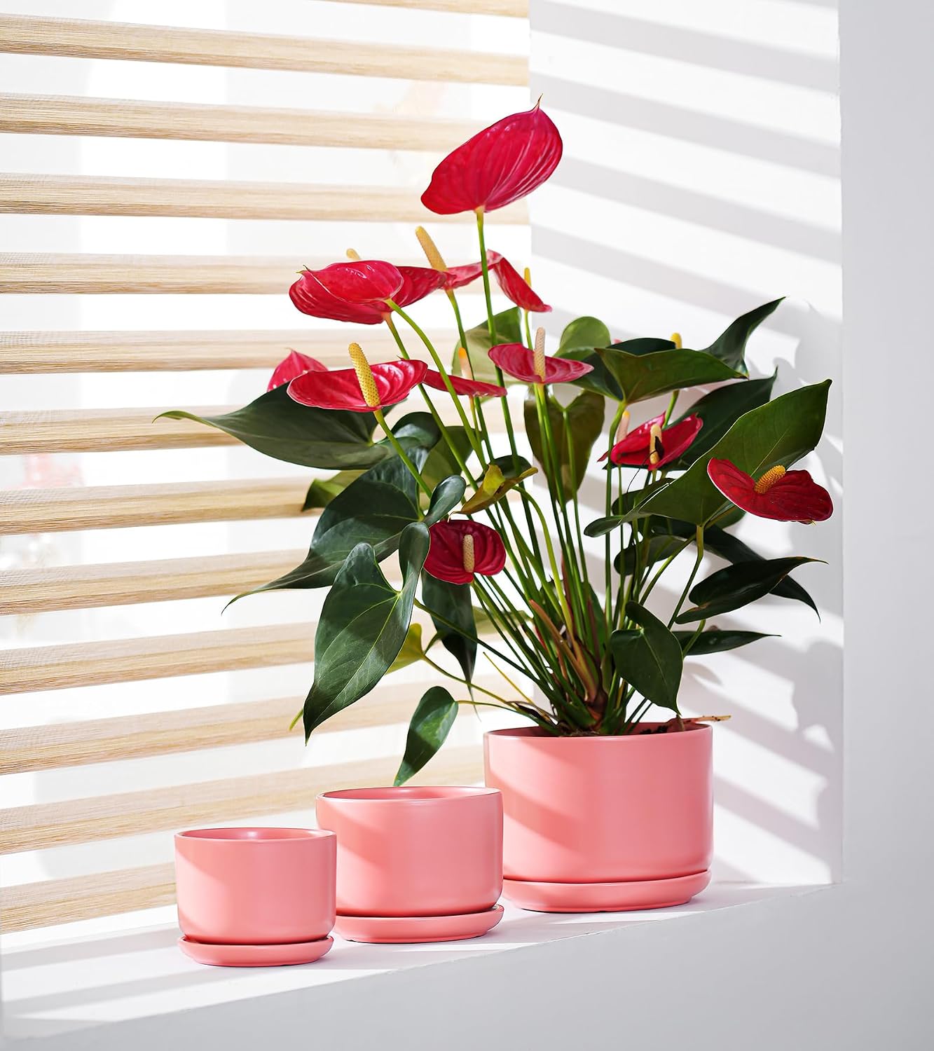 Ceramic Plant Pots,Planters with Drainage Hole&Saucer 3 Pack(Matte Orange) | Ceramic Pots for Plants | Modern Indoor