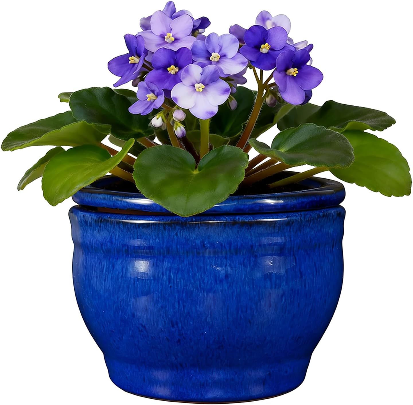 Self Watering Pot for African Violets Indoor Outdoor Plants, 6 inch, Blue | Bottom Watering, Ceramic