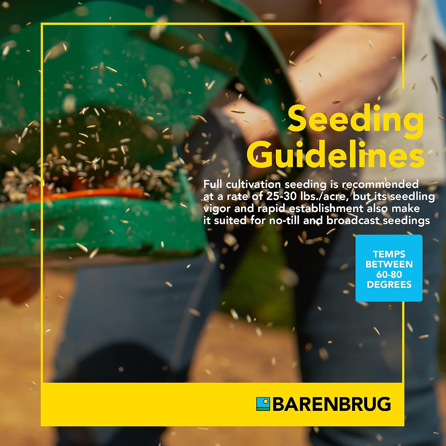 Barenbrug Horsemaster Premium Pasture Grass Seed Mix (25 LB Bag)