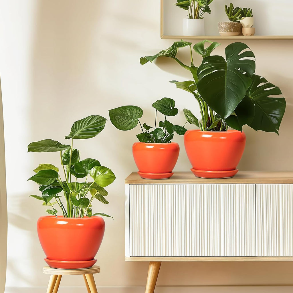 Ceramicfor Ceramic Plant Pot 6 Inch - Ceramic Planter for Indoor Plants Outdoor, Glaze Round Modern Flower Pot with
