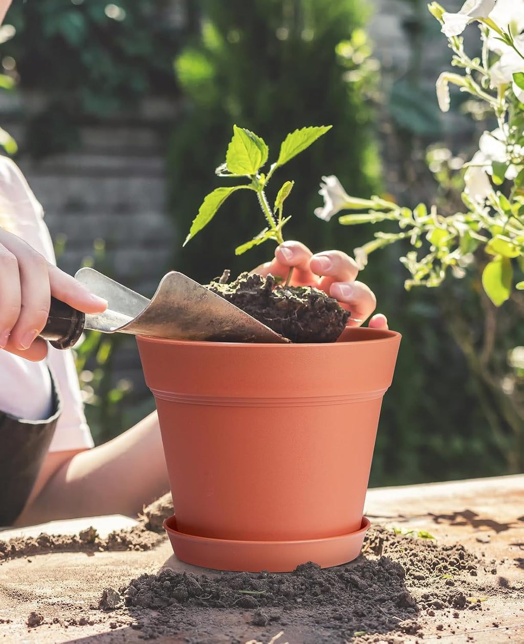 6 Inch Plastic Flower Pots with Drainage Holes and Trays (15 Pcs) | Matte terracotta finish suits orchids, snake