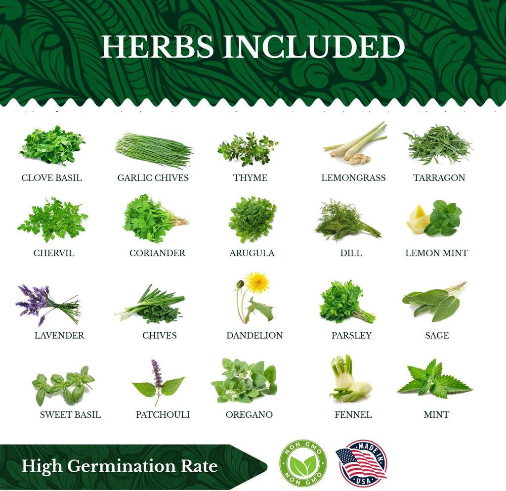 20 HERB Seeds Variety Pack - Complete Grow Kit Culinary Herbs Indoor Outdoors Herb Seeds, Basil, Oregano, Mint, Thyme &